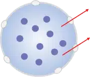 Specific Compounds diagram